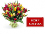 Obrazek dla news_1092