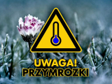 Obrazek dla news_1340